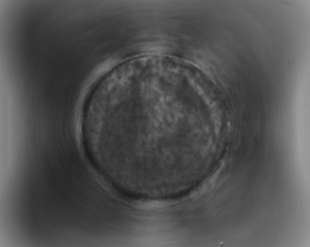 X0000094230149200711161916