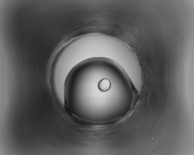 X0000094230150200711161916