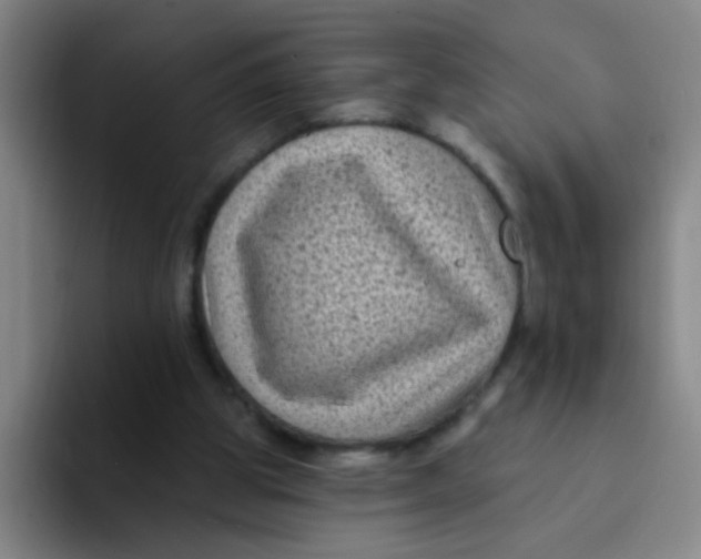 X0000094230153200711161916