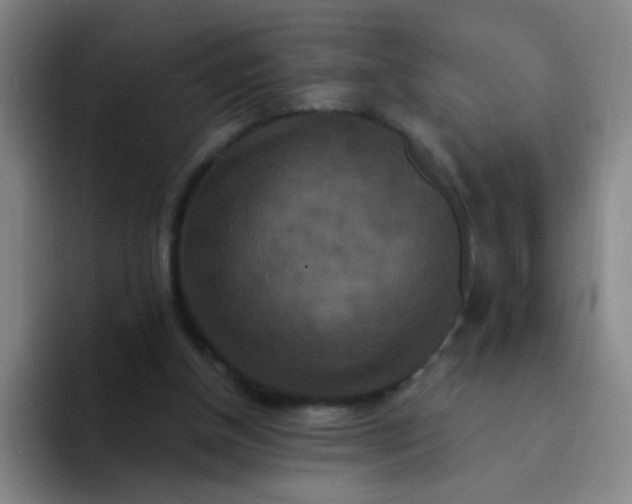 X0000094230154200711161916