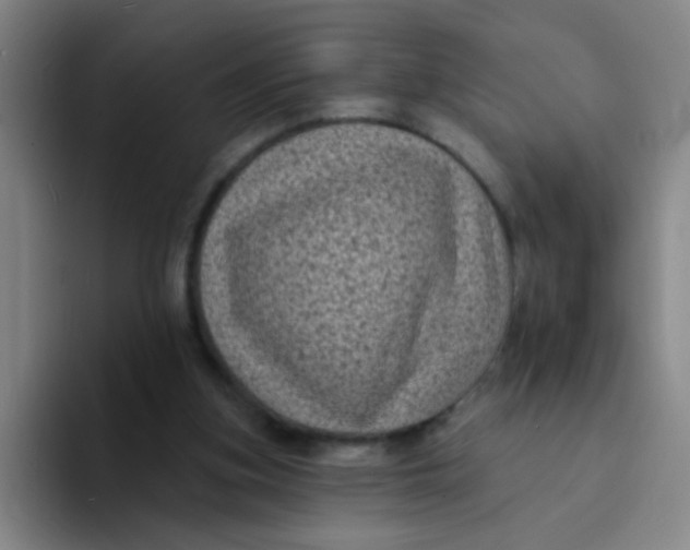 X0000094230155200711161916