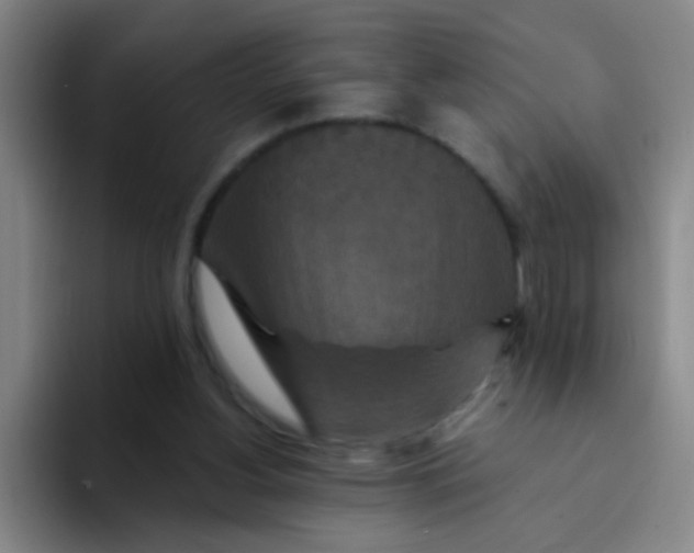 X0000094230156200711161916