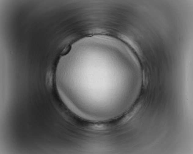 X0000094230157200711161916