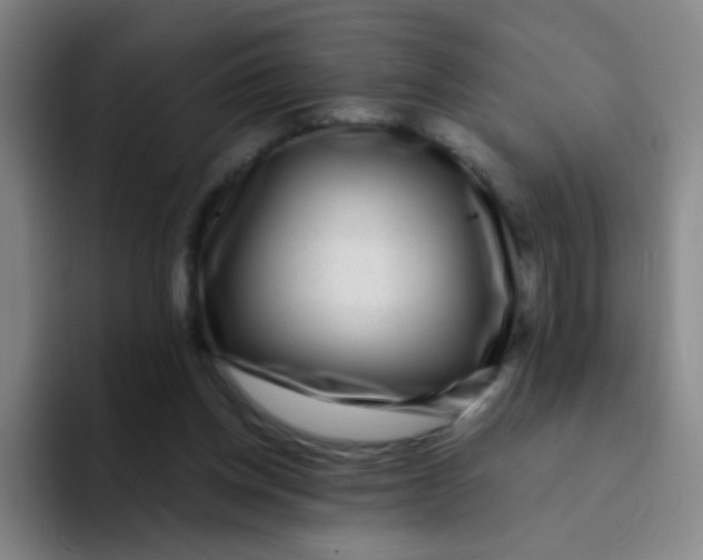 X0000094230158200711161916