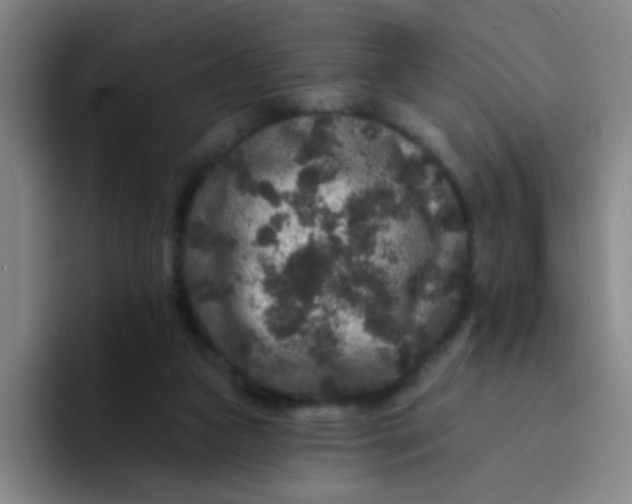 X0000094230161200711161916