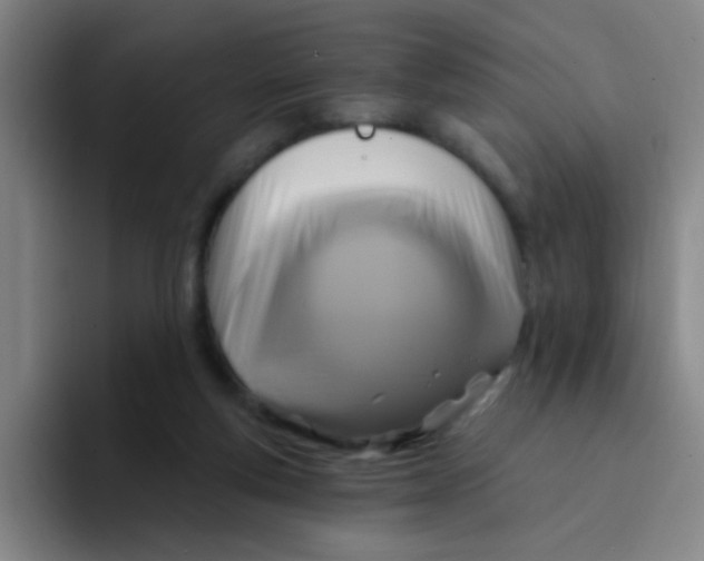 X0000094230163200711161916
