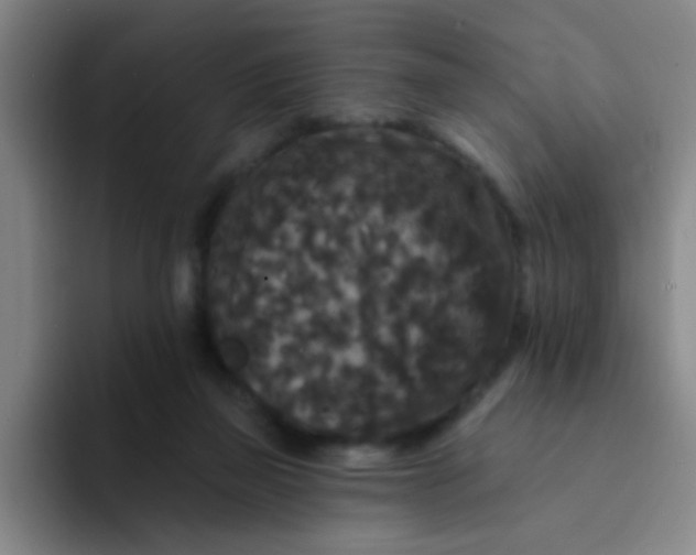 X0000094230165200711161916
