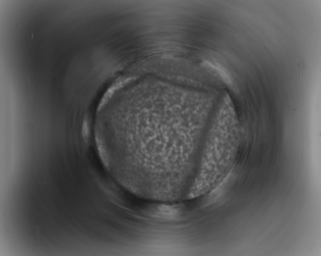 X0000094230166200711161916