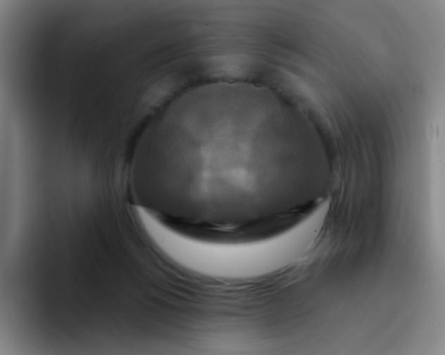 X0000094230168200711161916