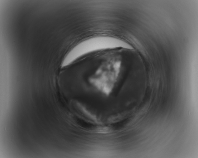 X0000094230169200711161916