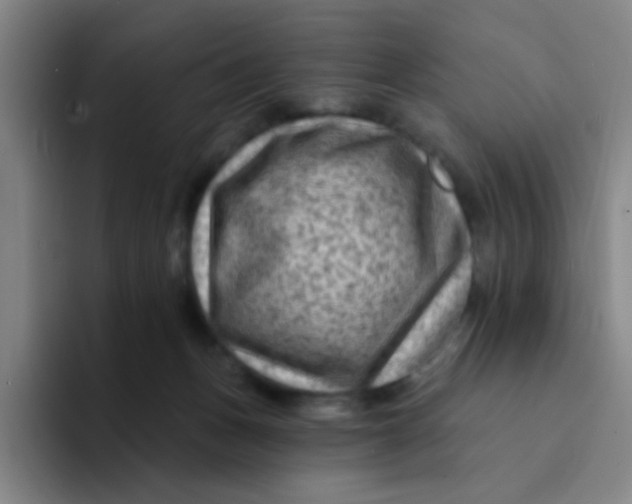 X0000094230175200711161916