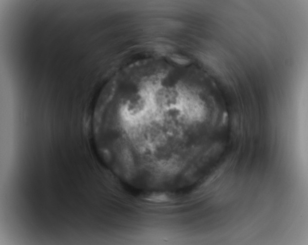 X0000094230177200711161916