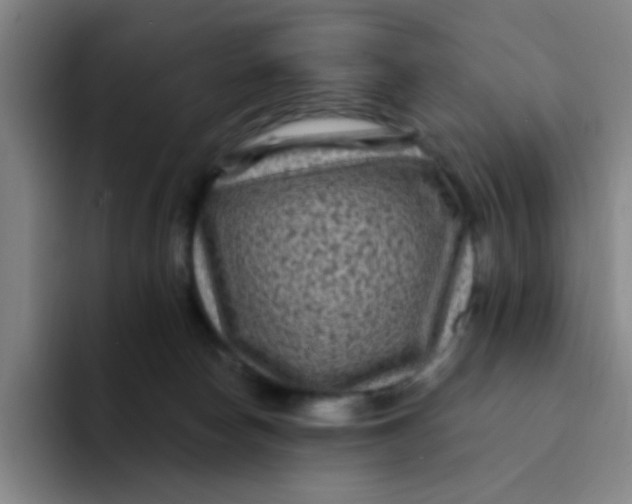 X0000094230178200711161916