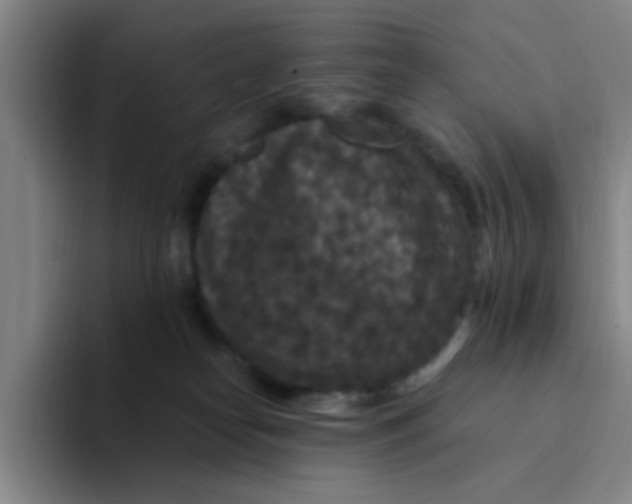X0000094230182200711161916