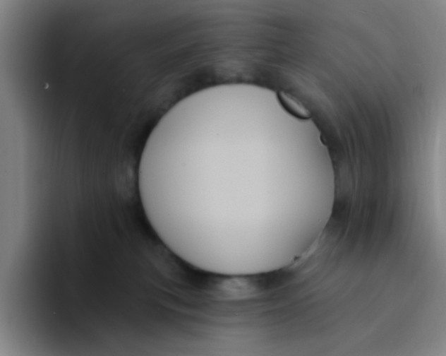 X0000094230183200711161916