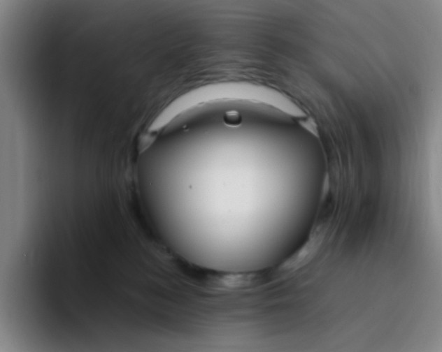 X0000094230184200711161916