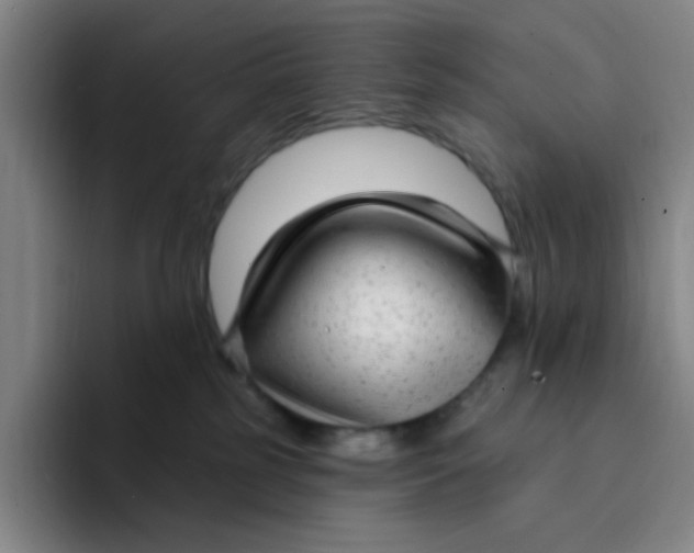 X0000094230185200711161917