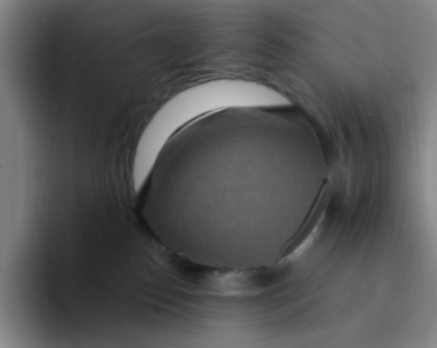 X0000094230186200711161917