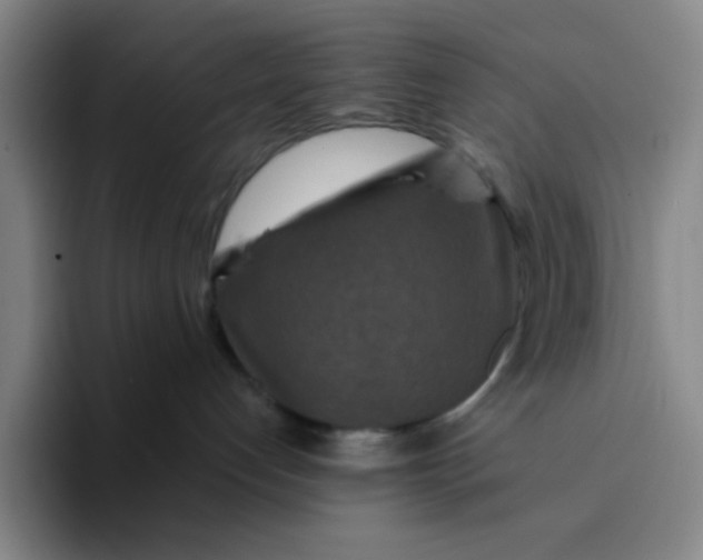 X0000094230192200711161917