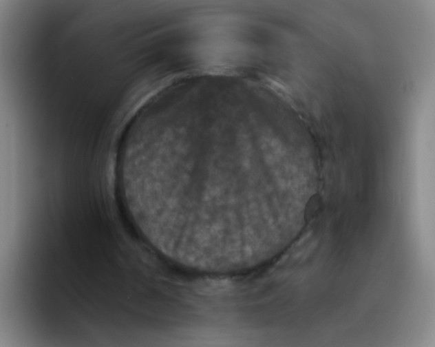 X0000094230194200711161916