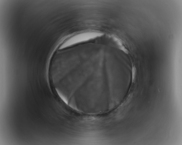 X0000094230195200711161916