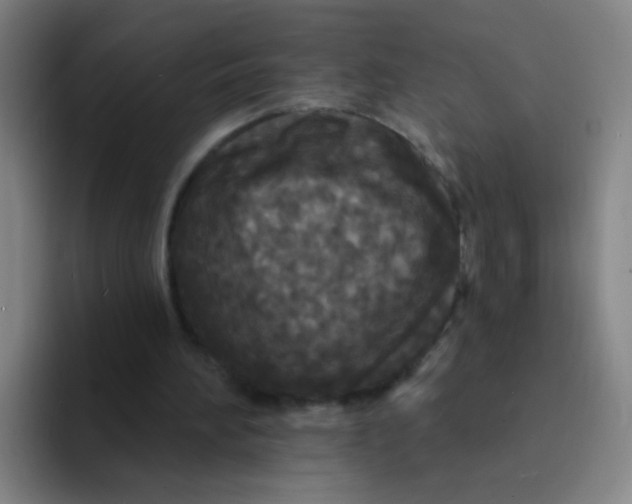 X0000094230196200711161916