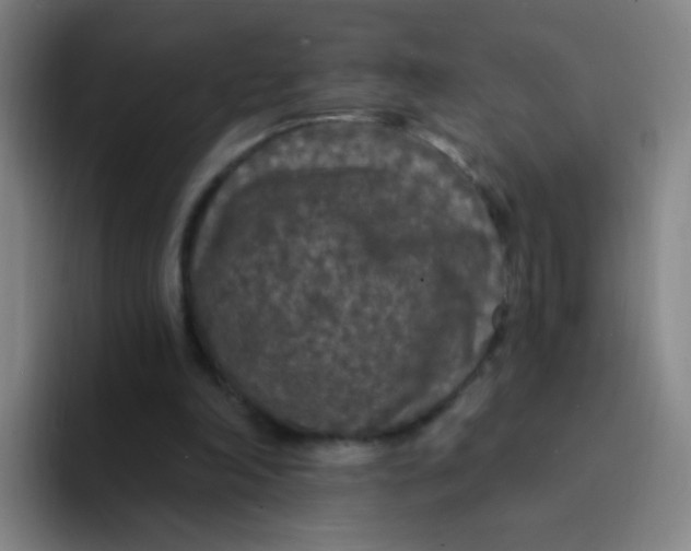 X0000094230198200711161916