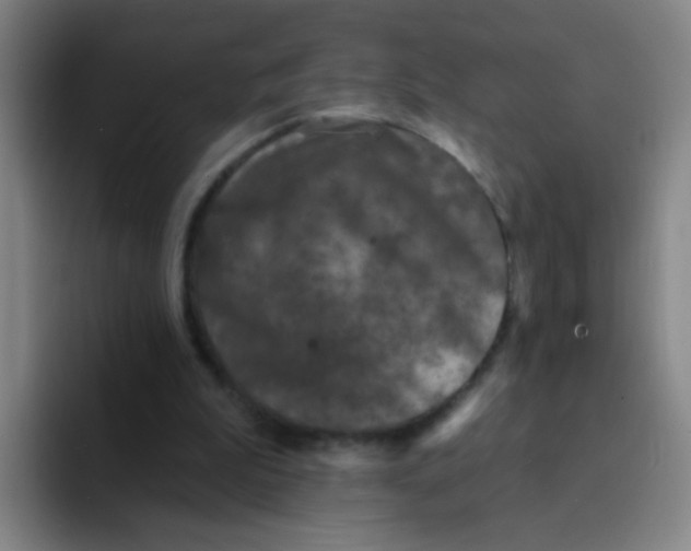 X0000094230199200711161916