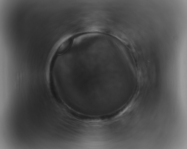 X0000094230200200711161916