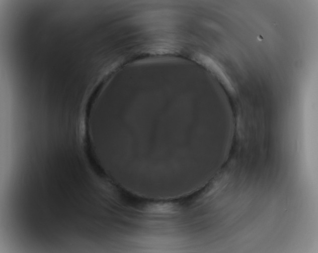 X0000094230202200711161916