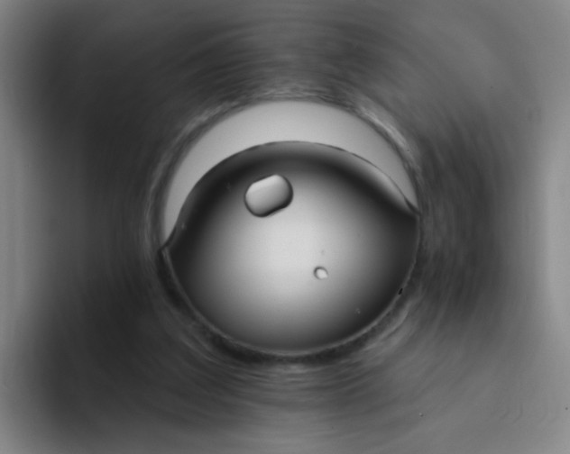 X0000094230203200711161916