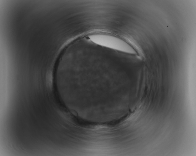 X0000094230204200711161916