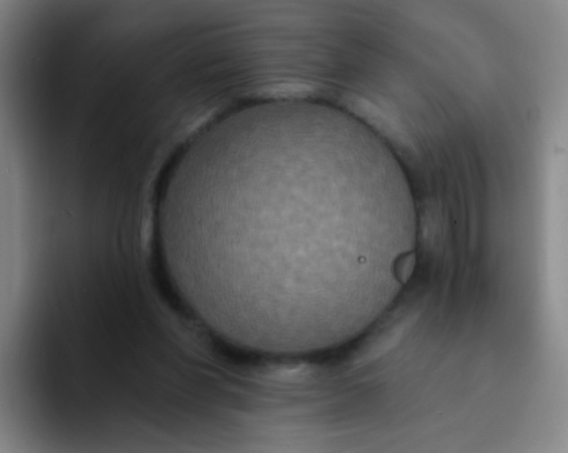 X0000094230206200711161916