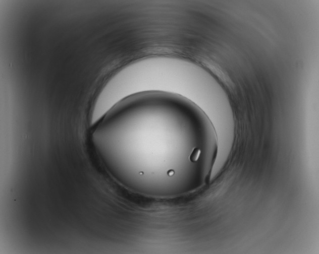 X0000094230207200711161916