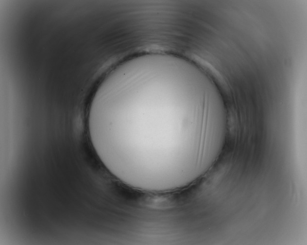 X0000094230208200711161916