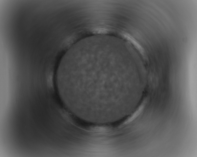 X0000094230209200711161916