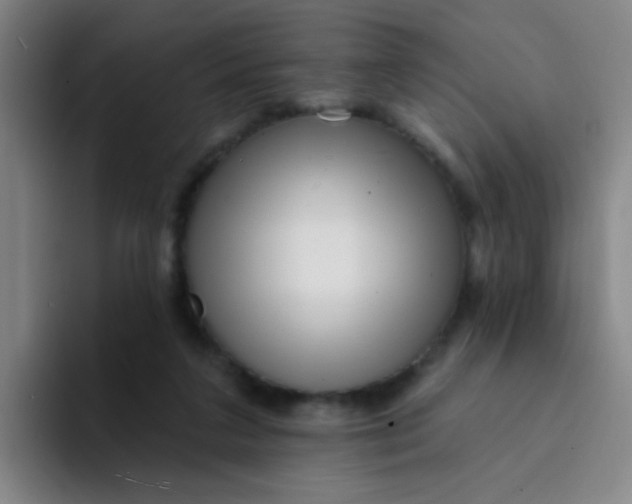 X0000094230211200711161916