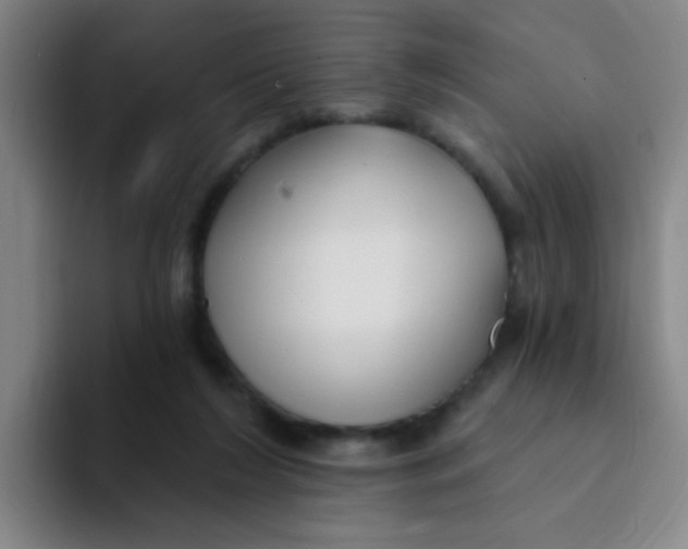 X0000094230212200711161916