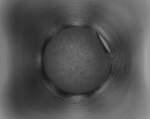 X0000094230213200711161916