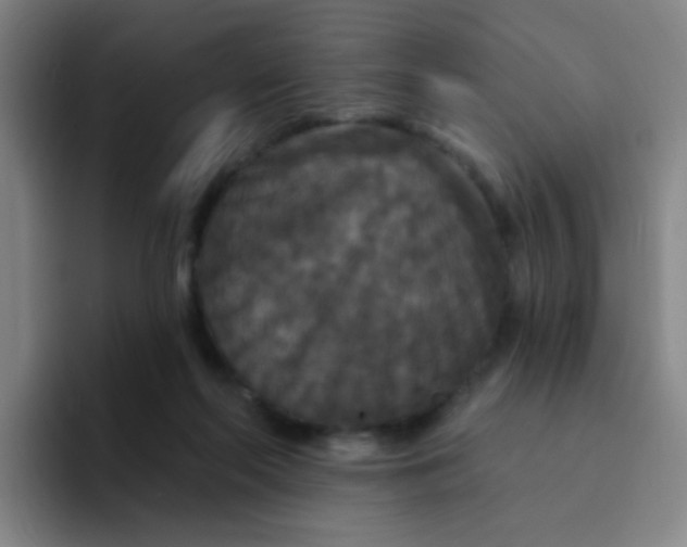 X0000094230214200711161916