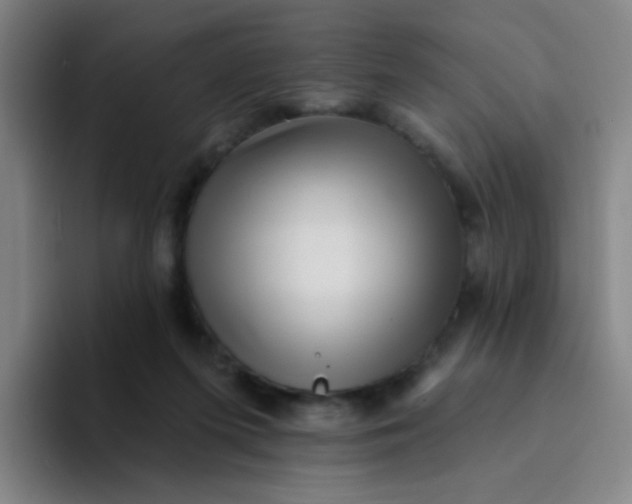 X0000094230215200711161916