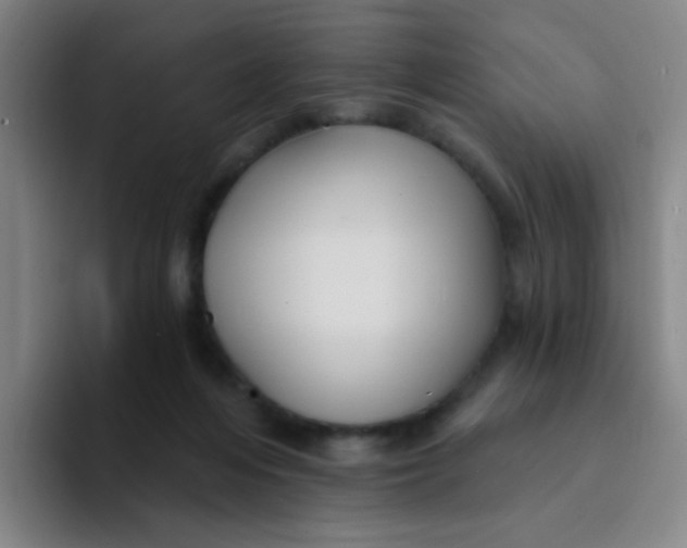 X0000094230216200711161916