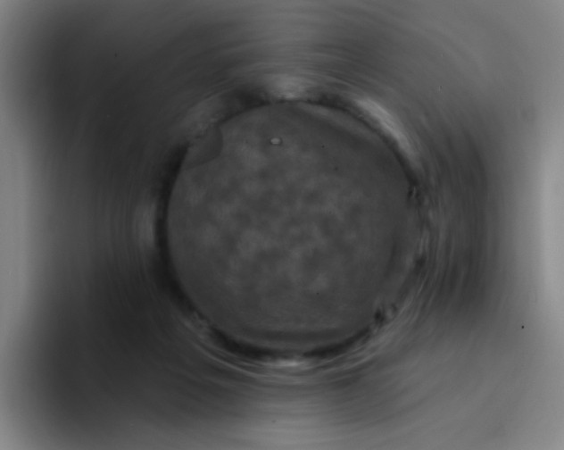 X0000094230217200711161916