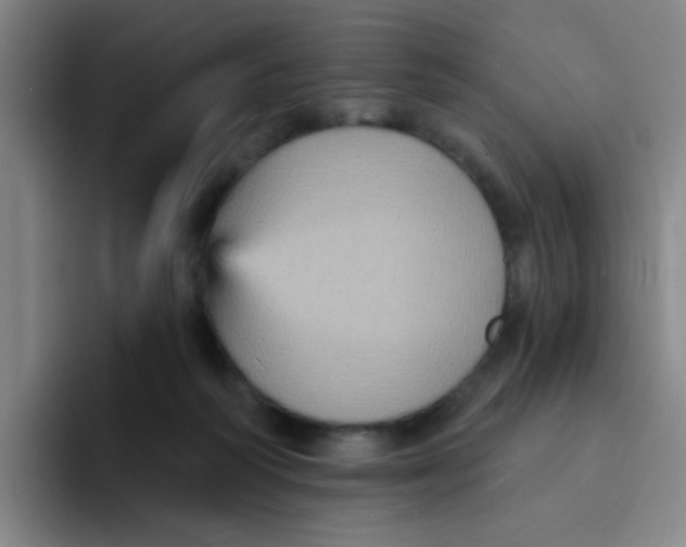 X0000094230218200711161916