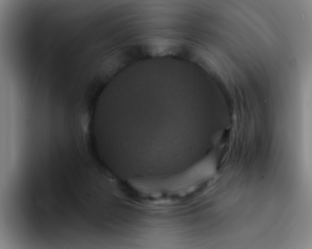 X0000094230219200711161916