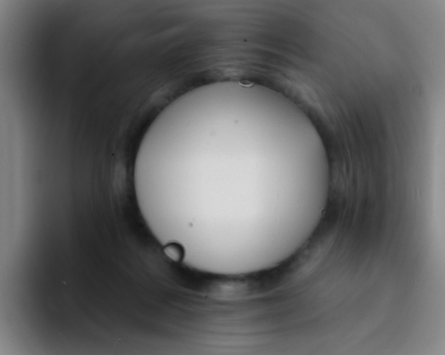 X0000094230220200711161916