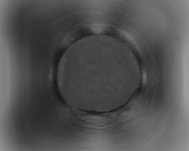 X0000094230221200711161916