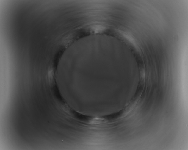 X0000094230222200711161916