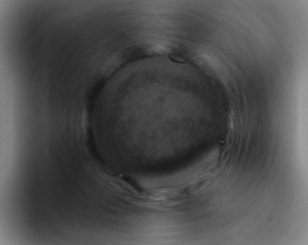 X0000094230223200711161916