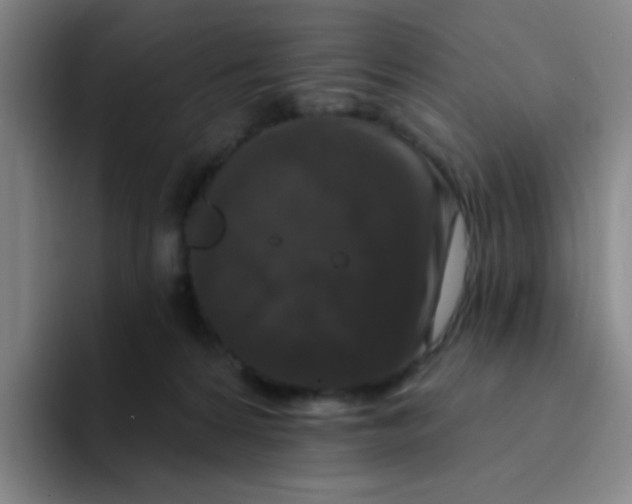 X0000094230224200711161916